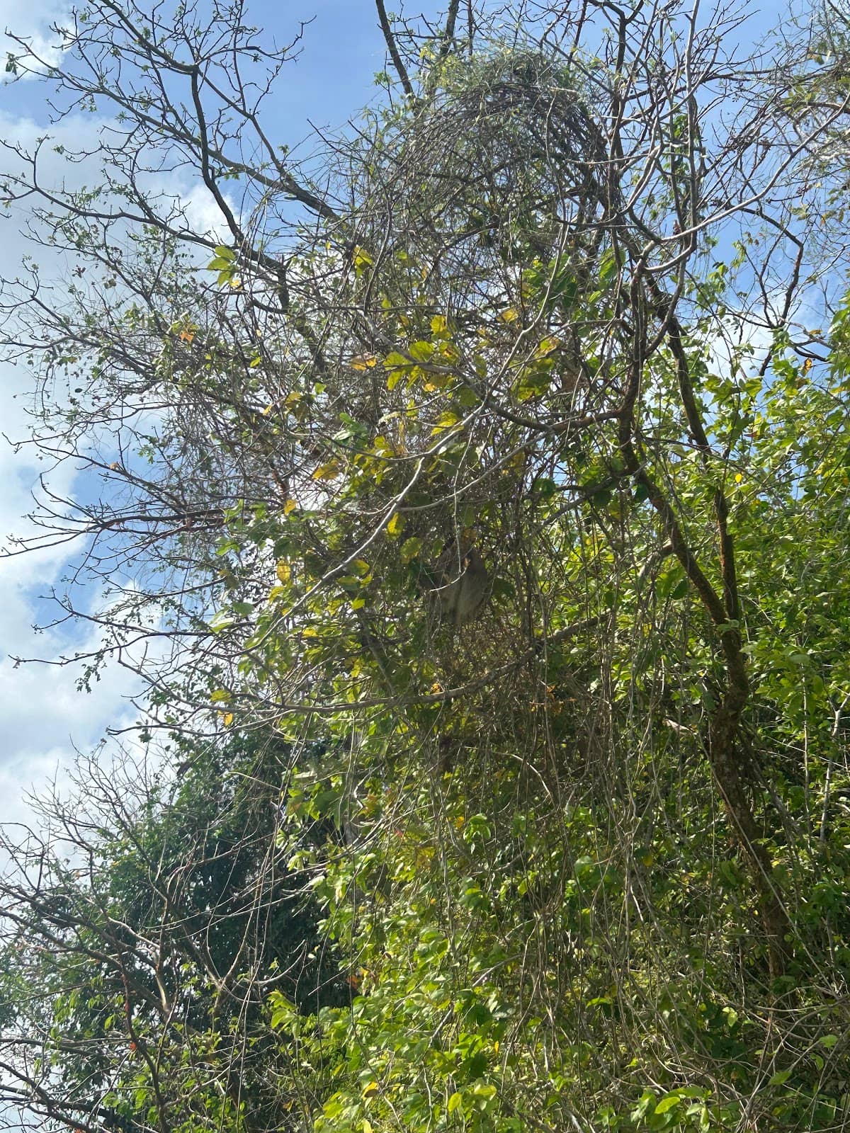 Vertical photo