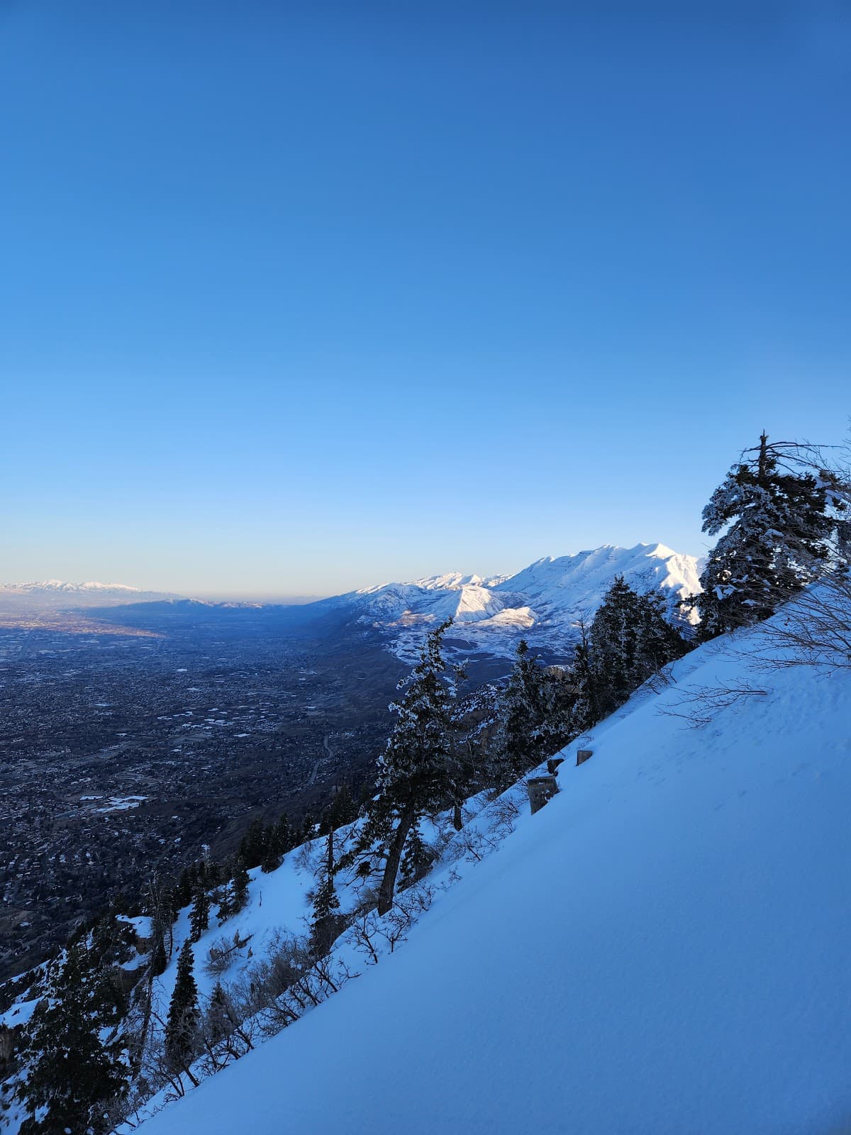 Y Mountain Trail - Image 1