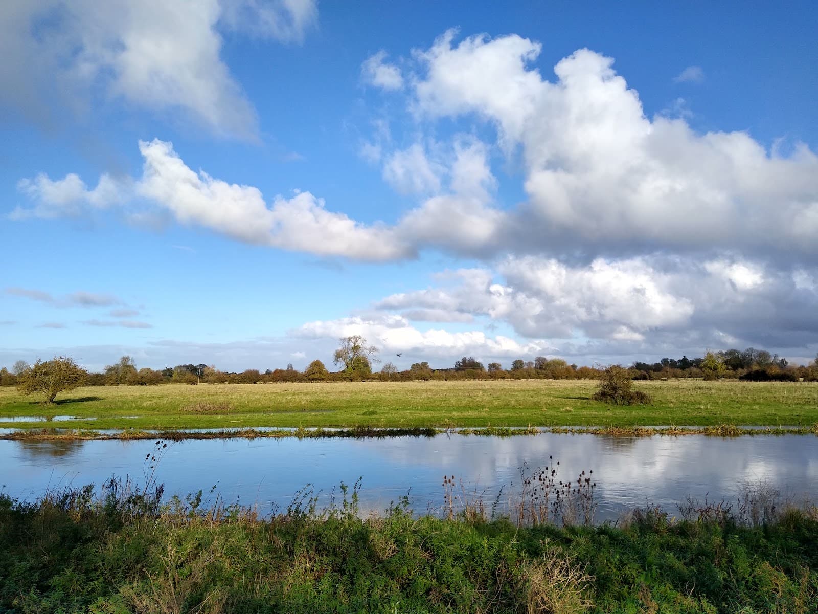 RSPB Fen Drayton Lakes - Image 1