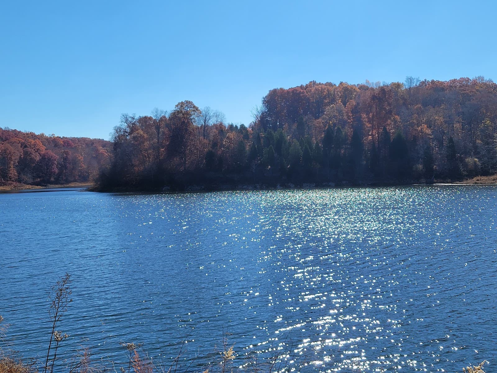 Hoosier NF: Springs Valley Rec Area - Image 1
