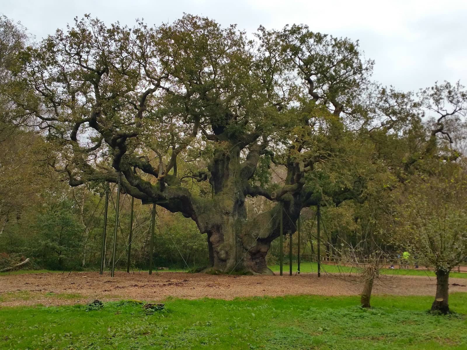 Sherwood Pines Forest Park
