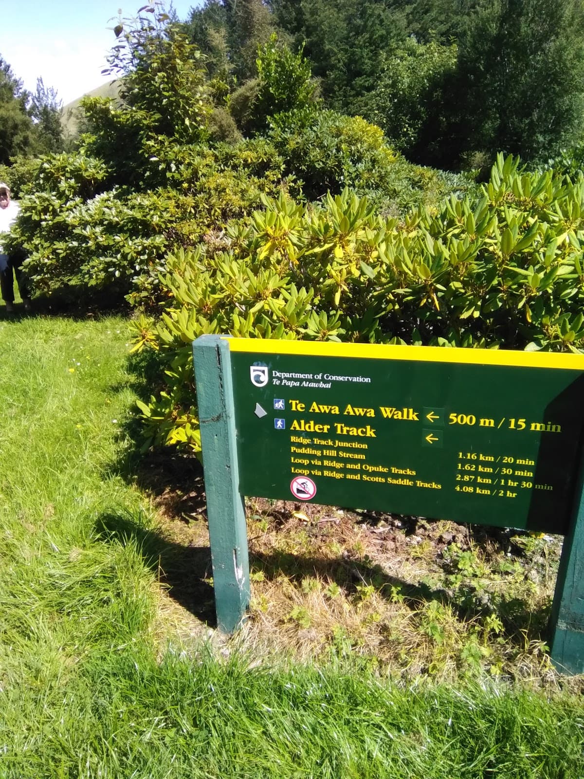 Awa Awa Rata Reserve - Image 1