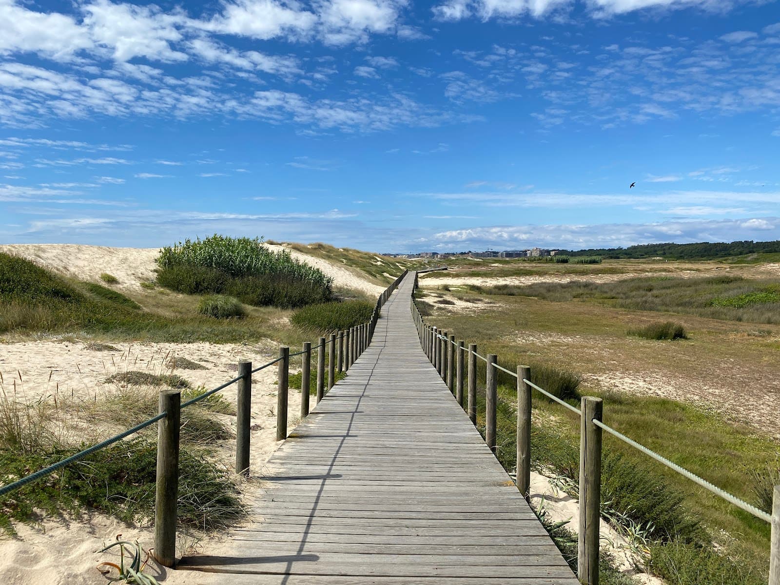 Mindelo Ornithological Reserve - Image 1