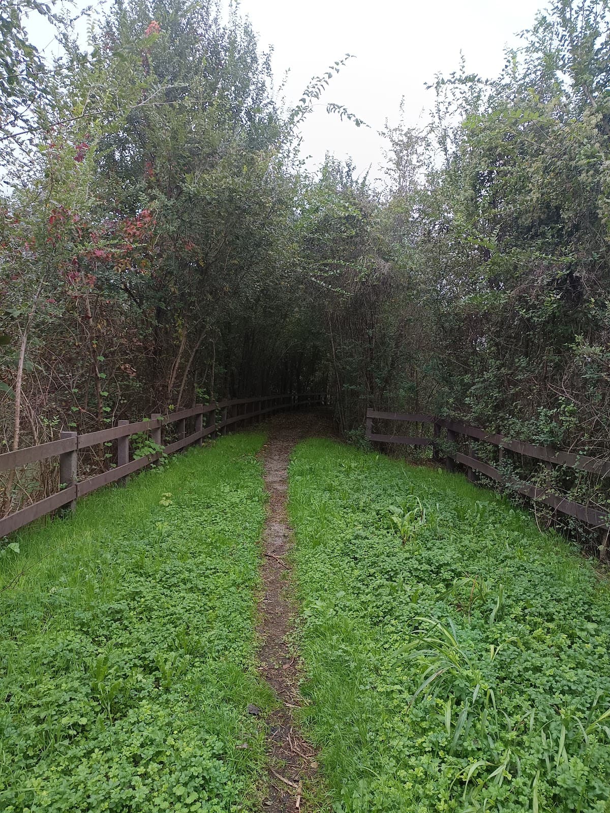 Parco Media Valle Lambro - Image 1