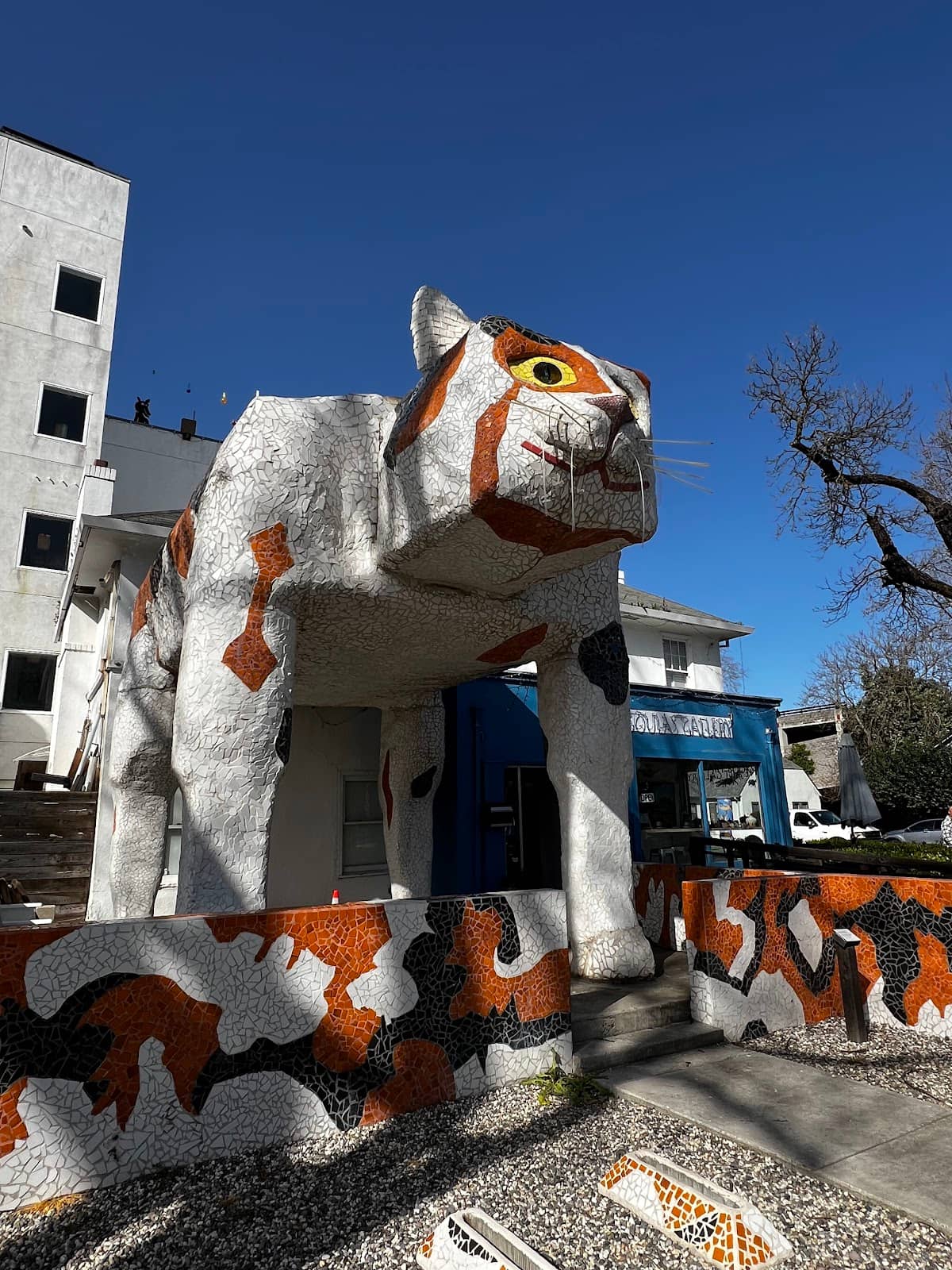 Vibrant Food & Drink Scene