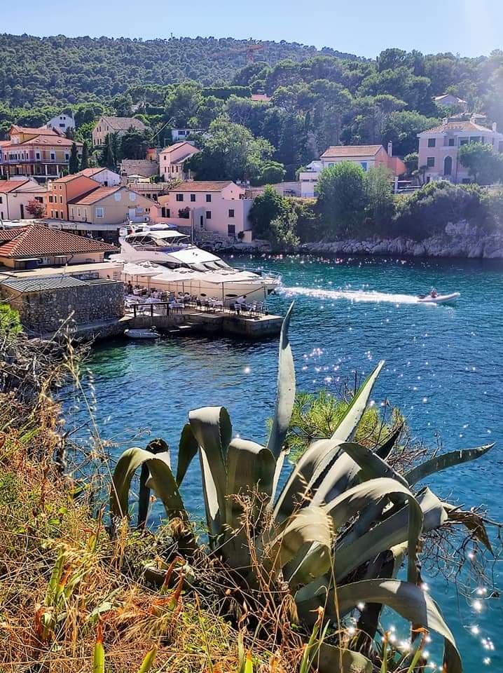 Lošinj Island - Image 1
