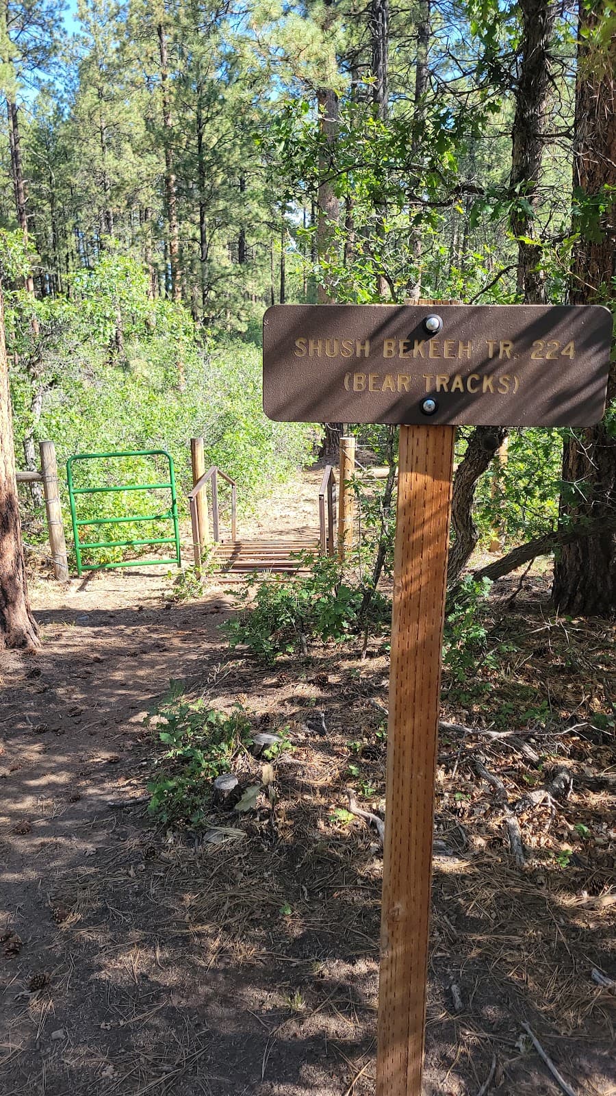 Boggy Draw Trail System - Image 1