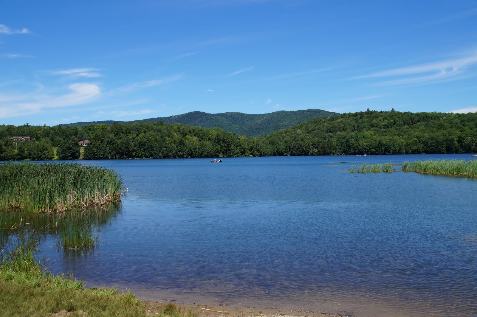 Gifford Woods State Park - Image 1