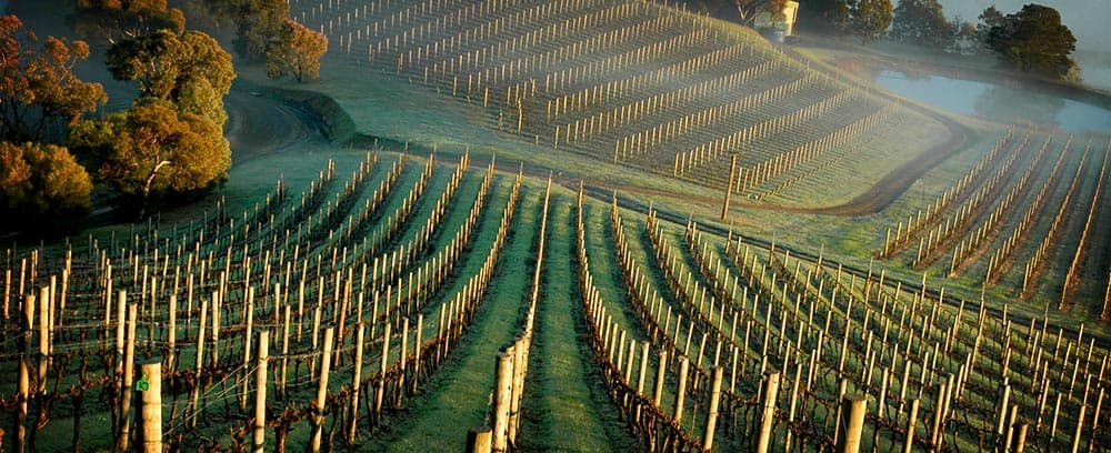 Coldstream Hills - Image 1