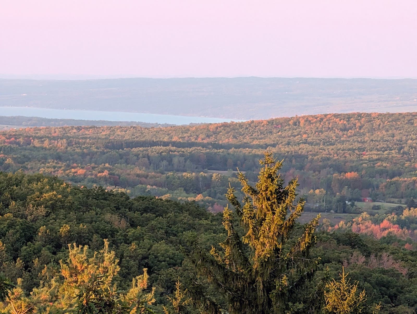 Sugar Hill State Forest - Image 1