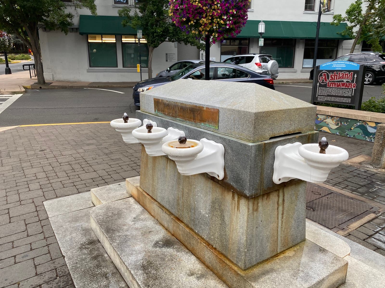 Lithia Water Fountain Plaza - Image 1