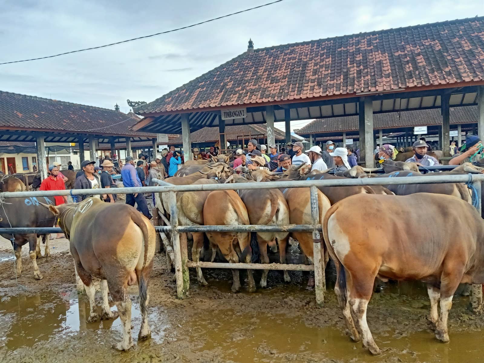 Local Crafts & Goods