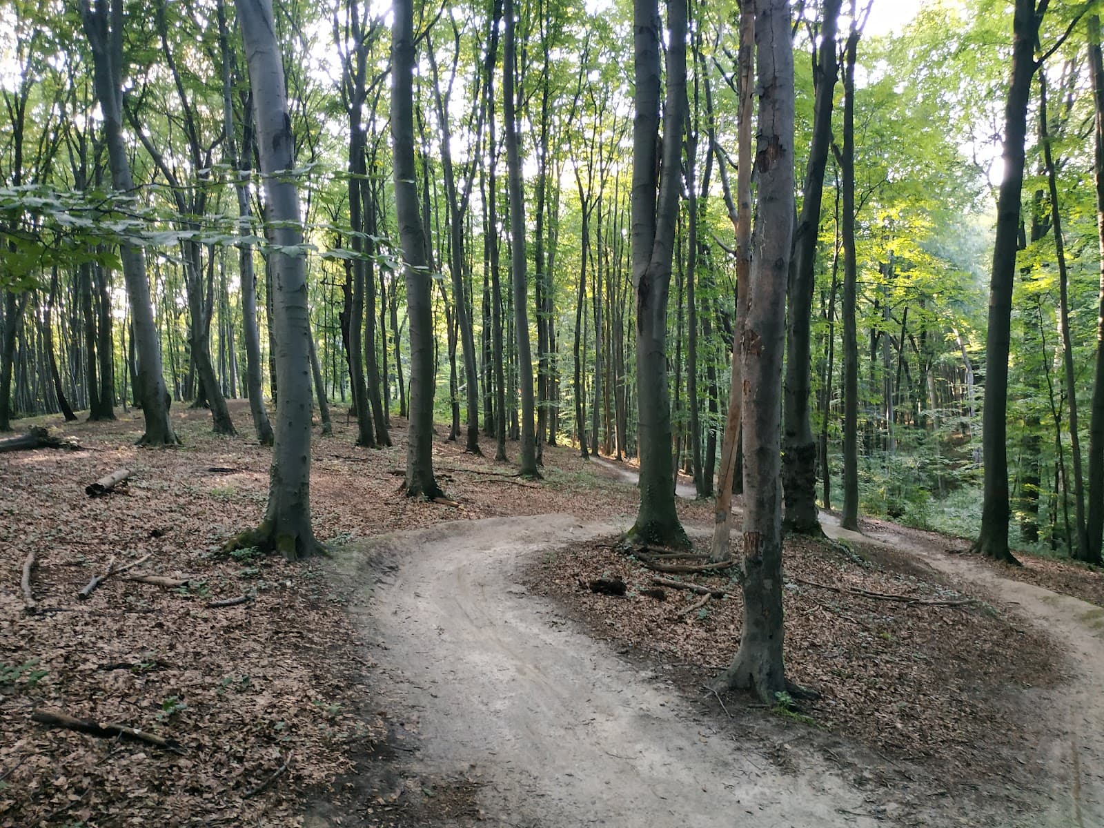 Pohulianka Park - Image 1