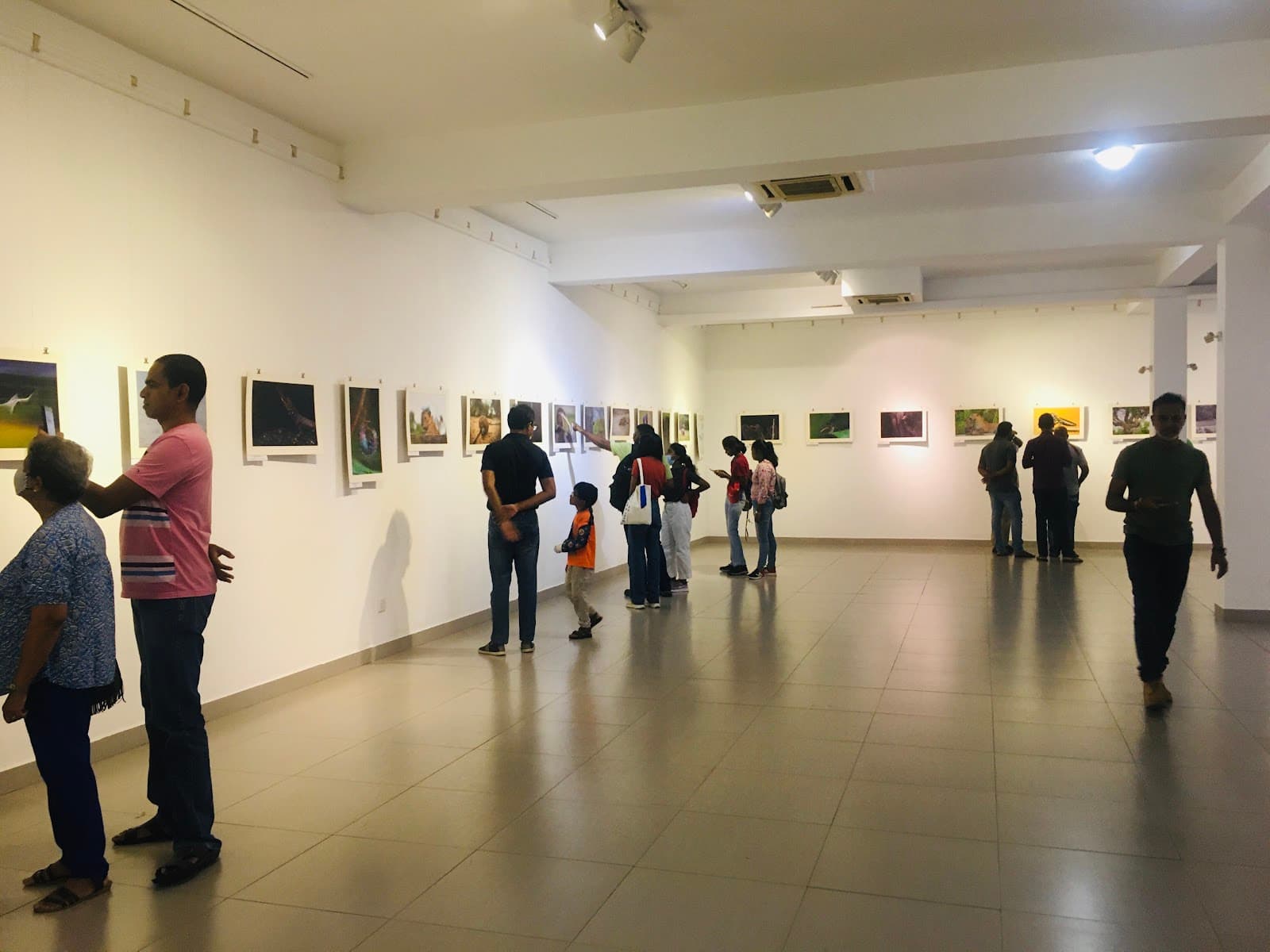 JDA Perera Gallery - Image 1