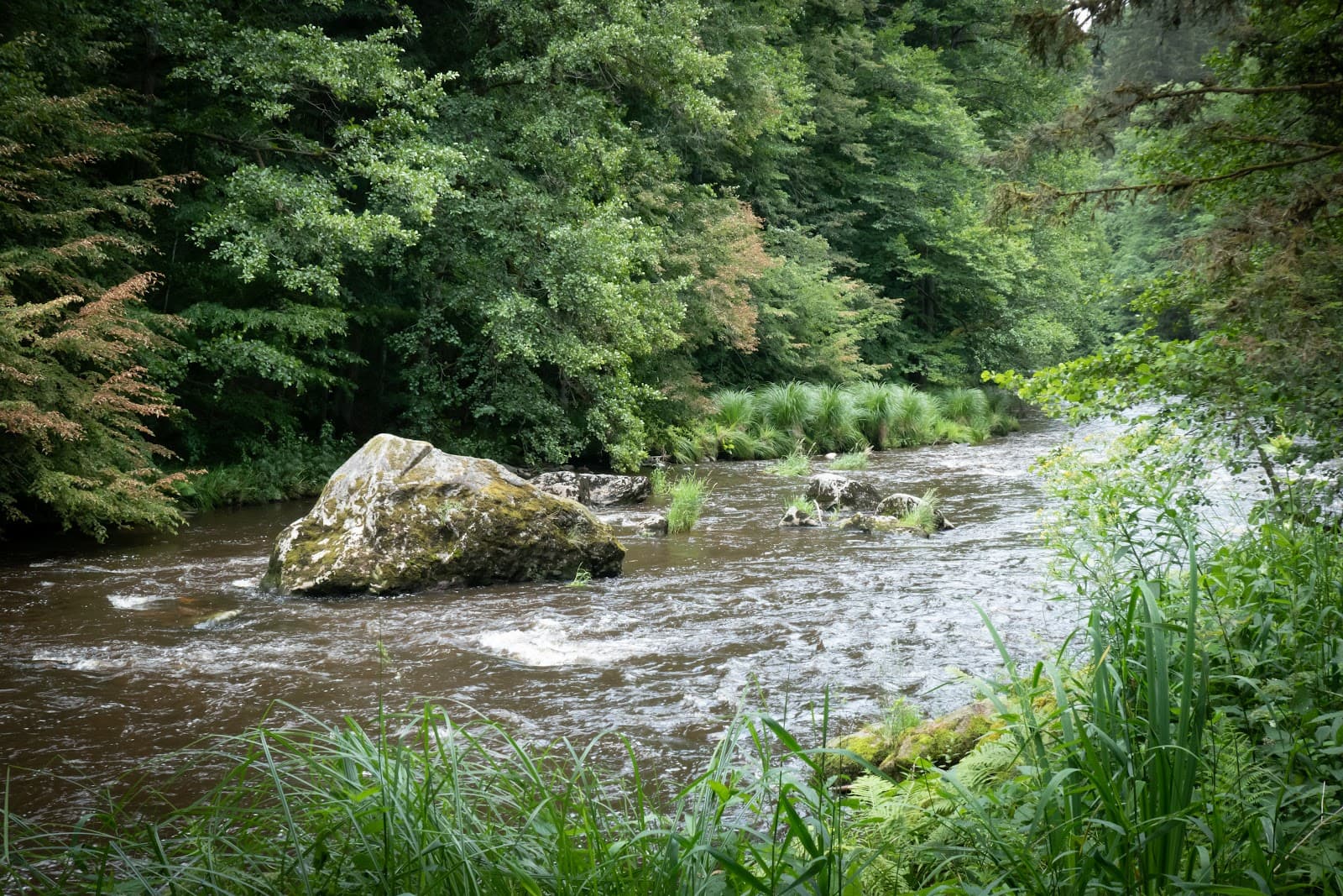 Ilz Valley Ilztal - Image 1