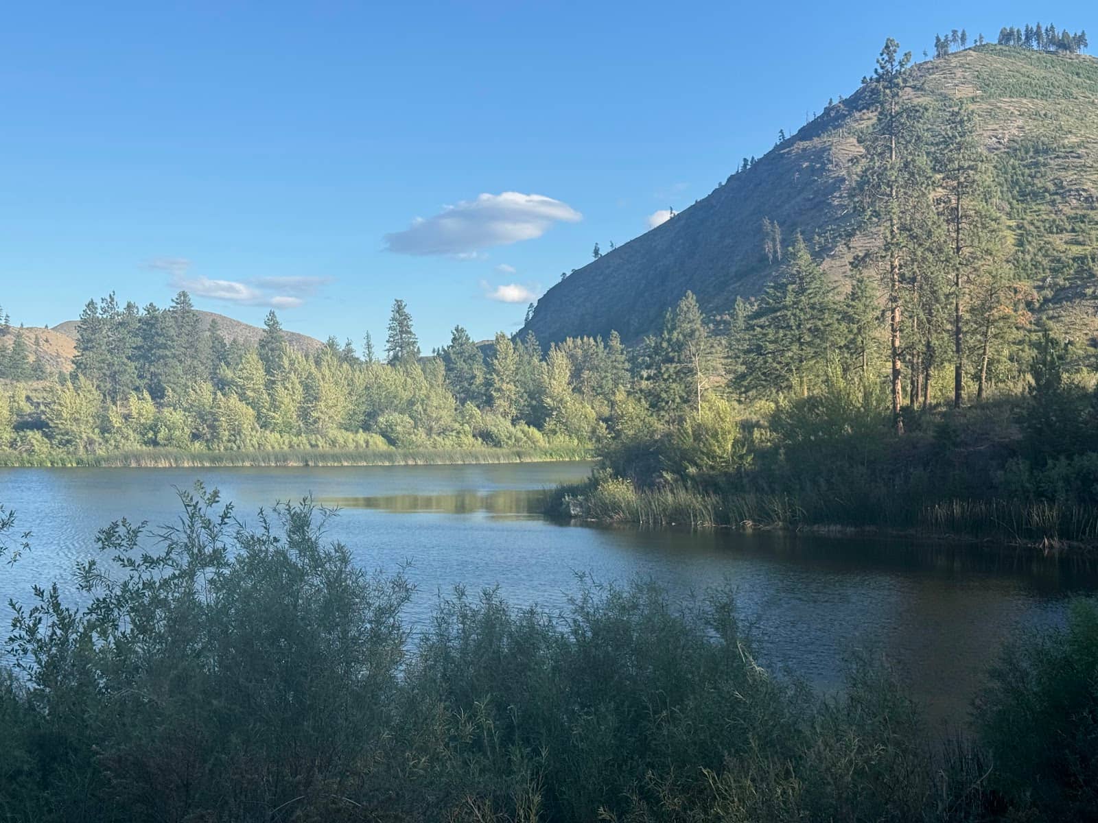 Proximity to Town