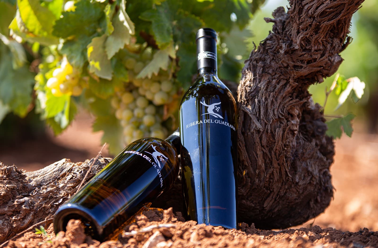 Ribera del Guadiana Wine Route - Image 1