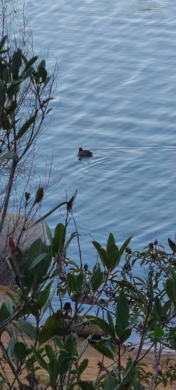 Scenic Hiking Trails