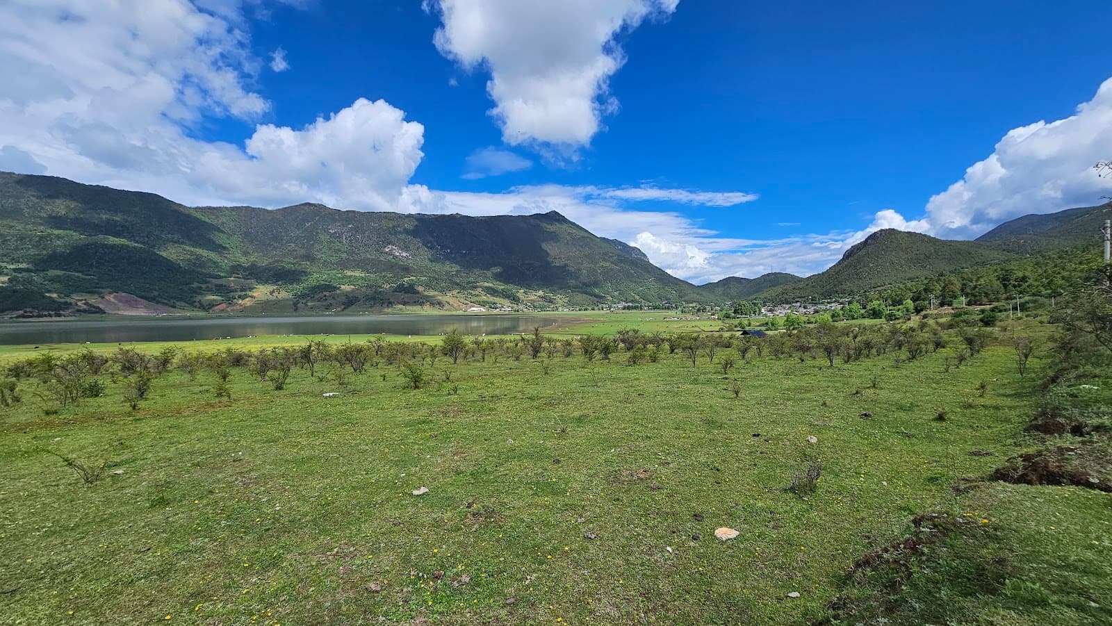 Wenhai Village and Meadow - Image 1