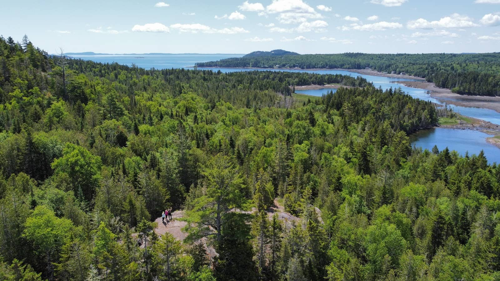 Bald Eagle Sightings