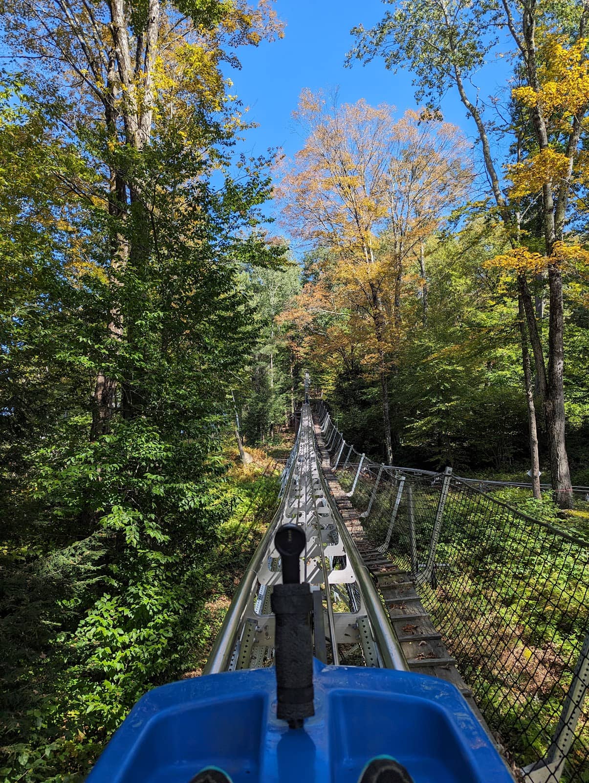 Downhill Mountain Biking