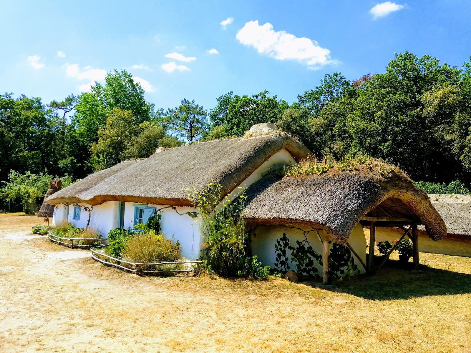 La Bourrine du Bois Juquaud - Image 1