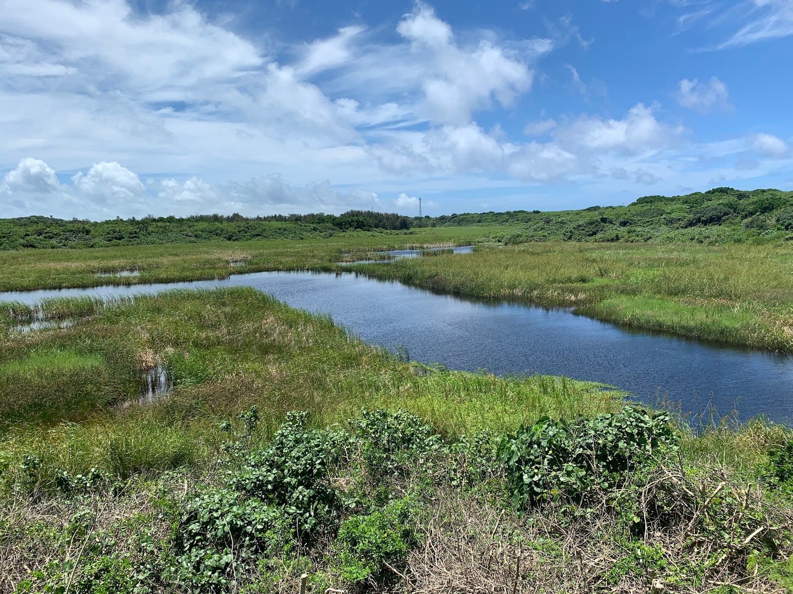 Ikema Wetland - Image 1