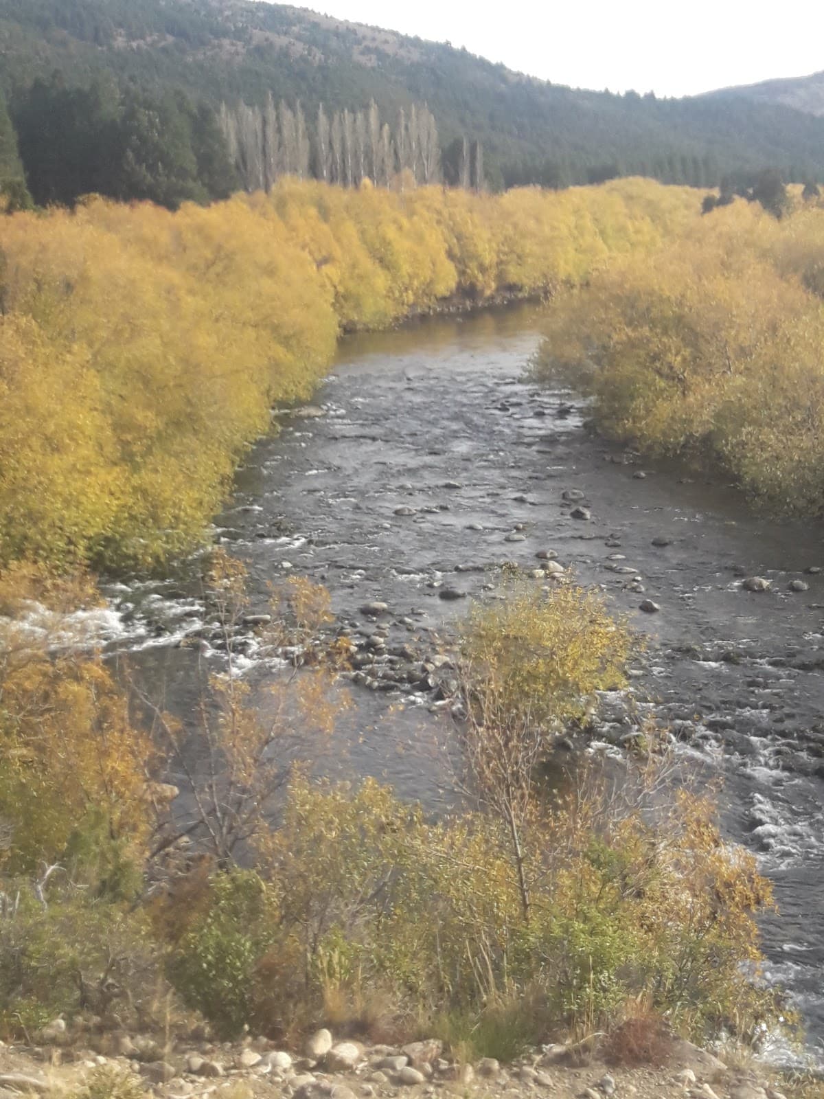 Río Quilquihue - Image 1