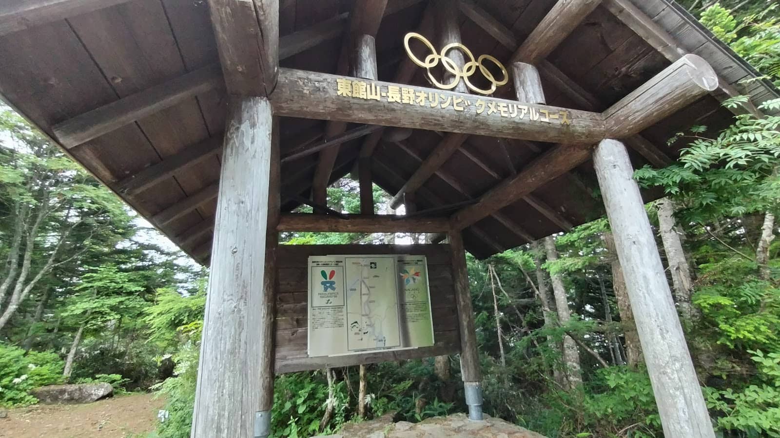 Seasonal Bloom Spectacles