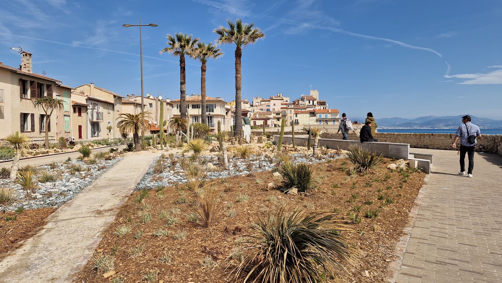 Safranier district - Image 1