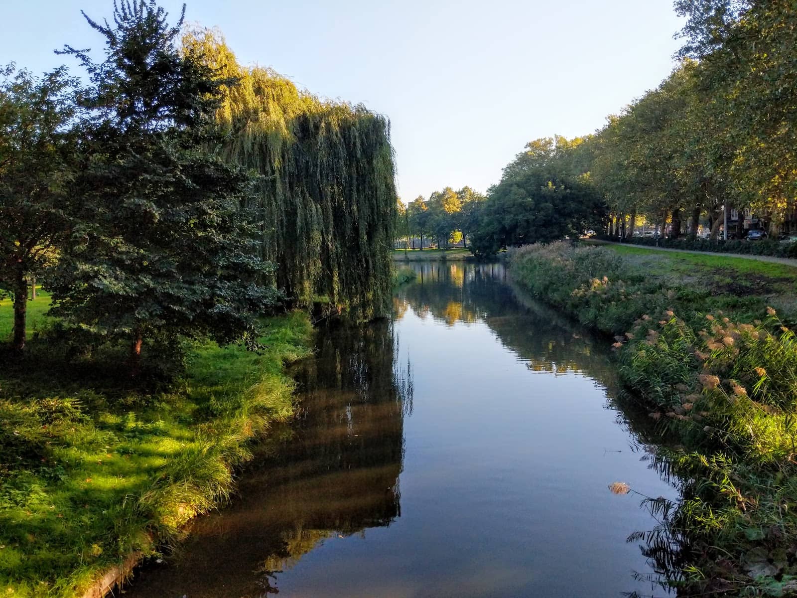 Local Gathering Spot