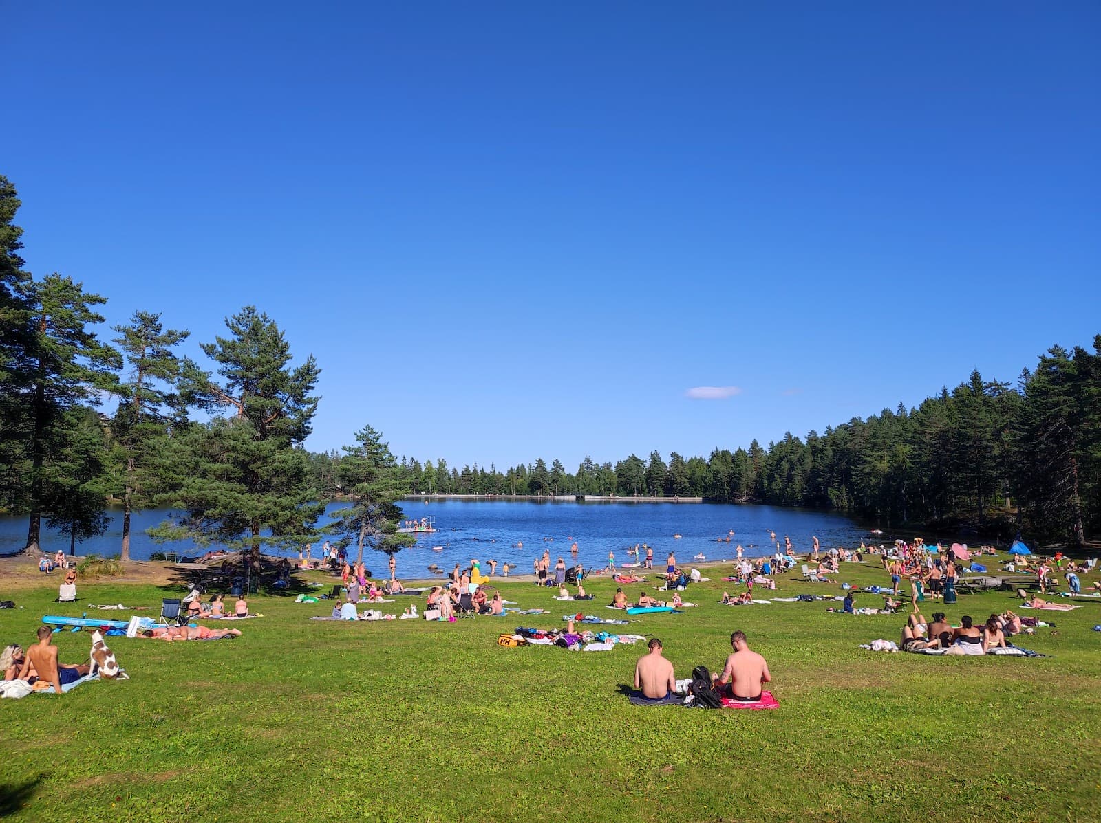 Landfalltjern - Image 1