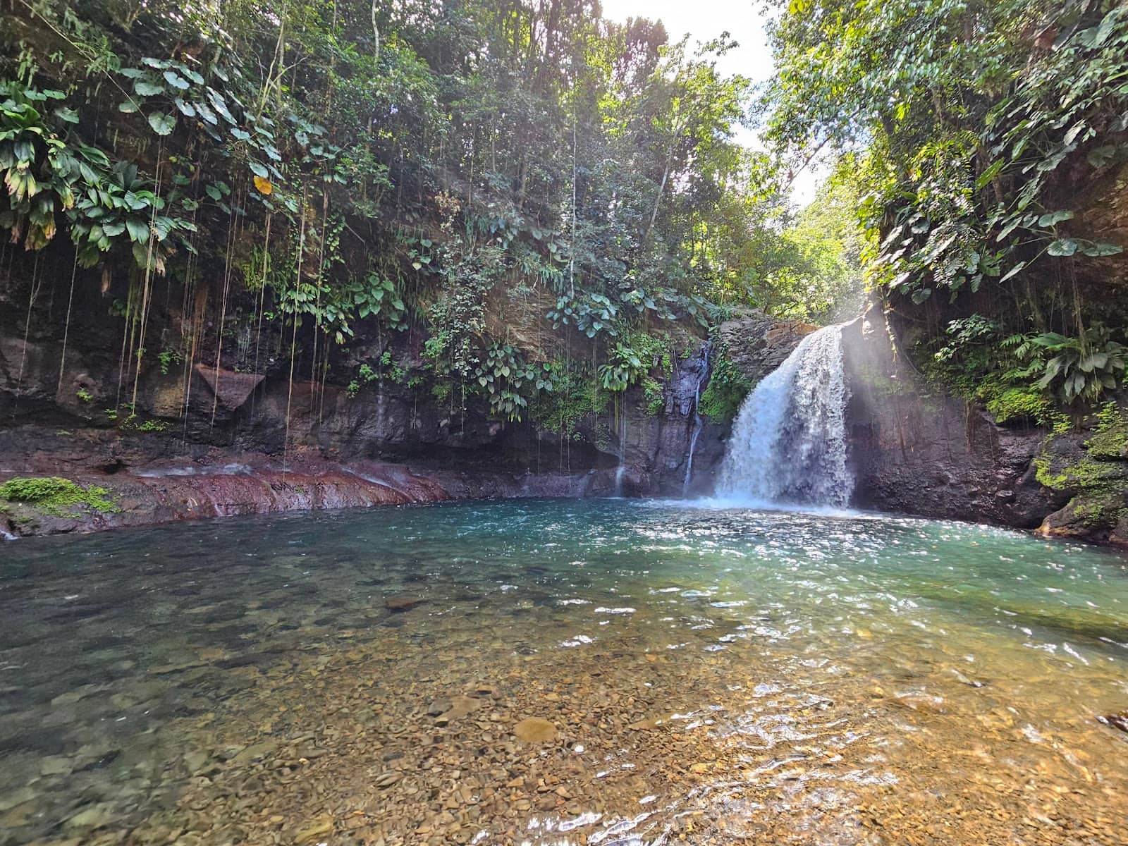 Tropical Forest Hike