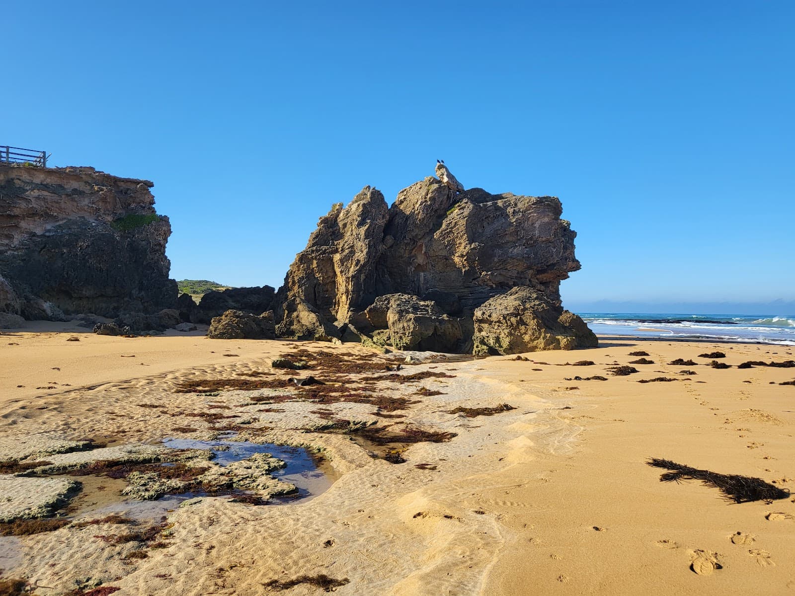 Point Ritchie Moyjil - Image 1