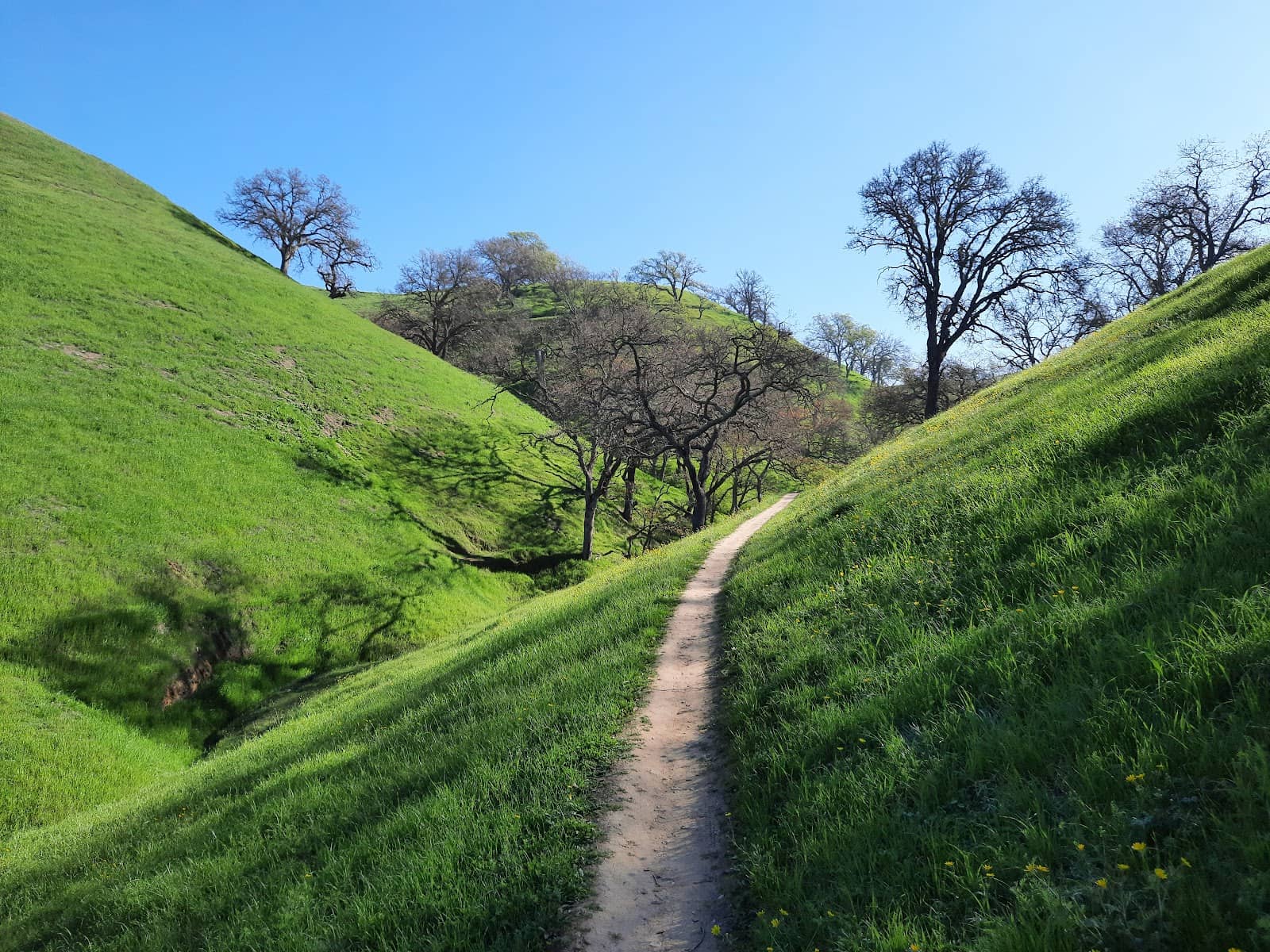 Vineyard Walking Trails