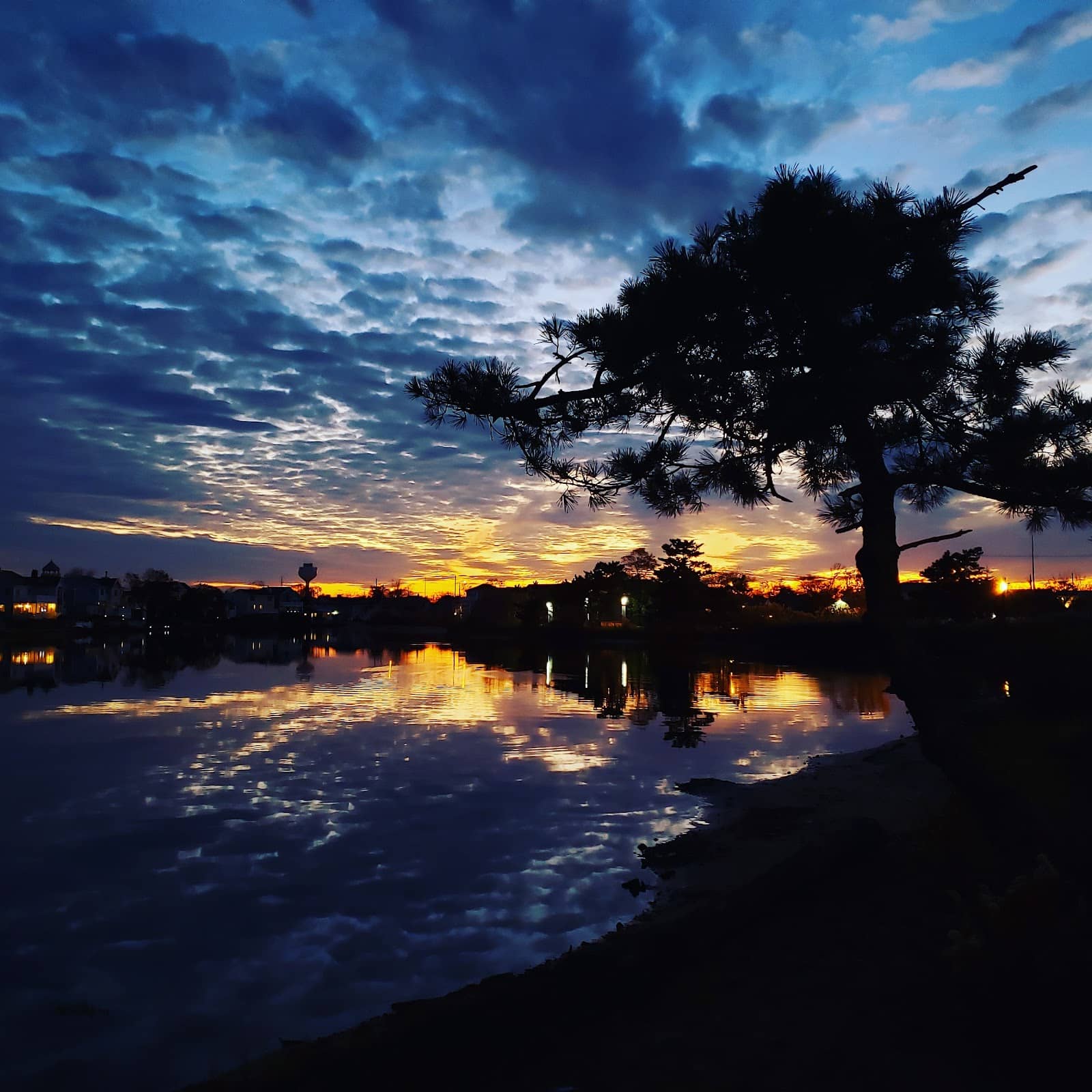 King Mike's Royal Court