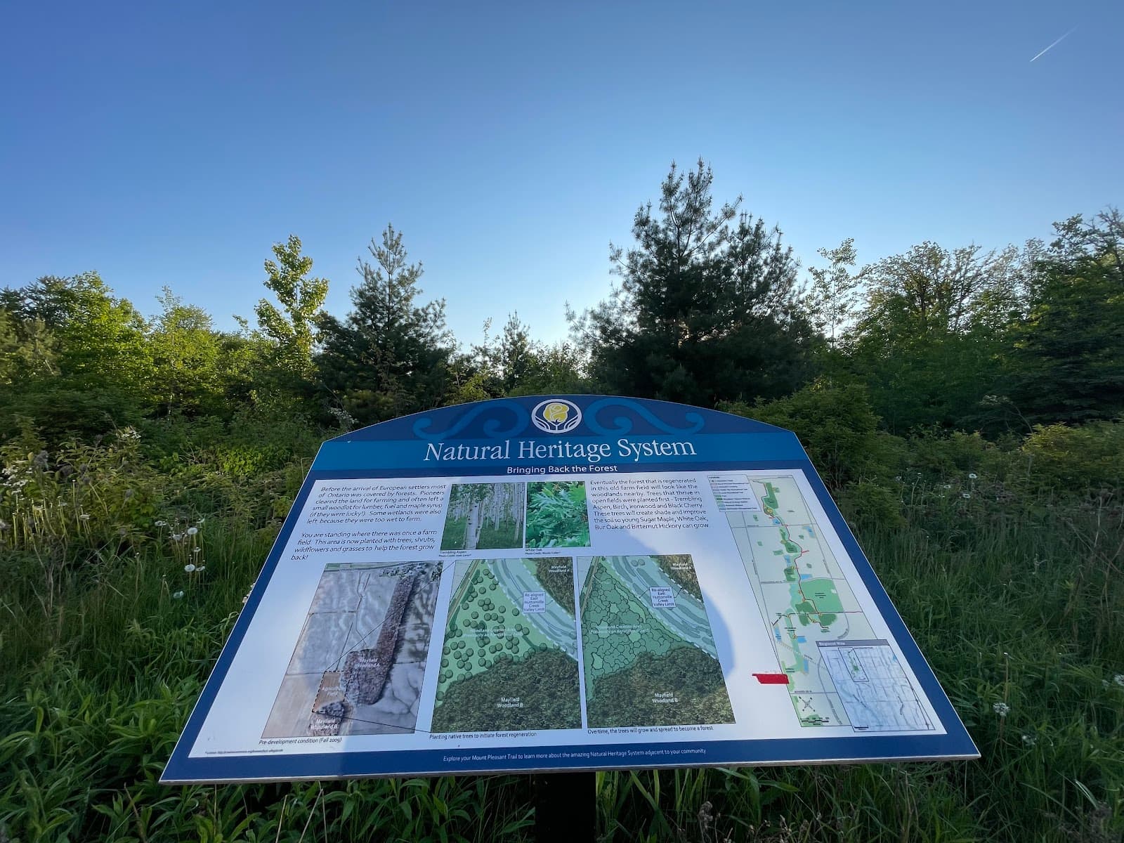 Mount Pleasant Village - Image 1