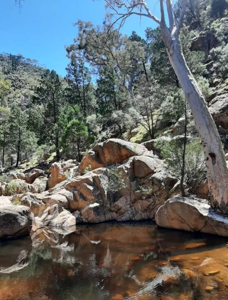 Peaceful Gorge Walk