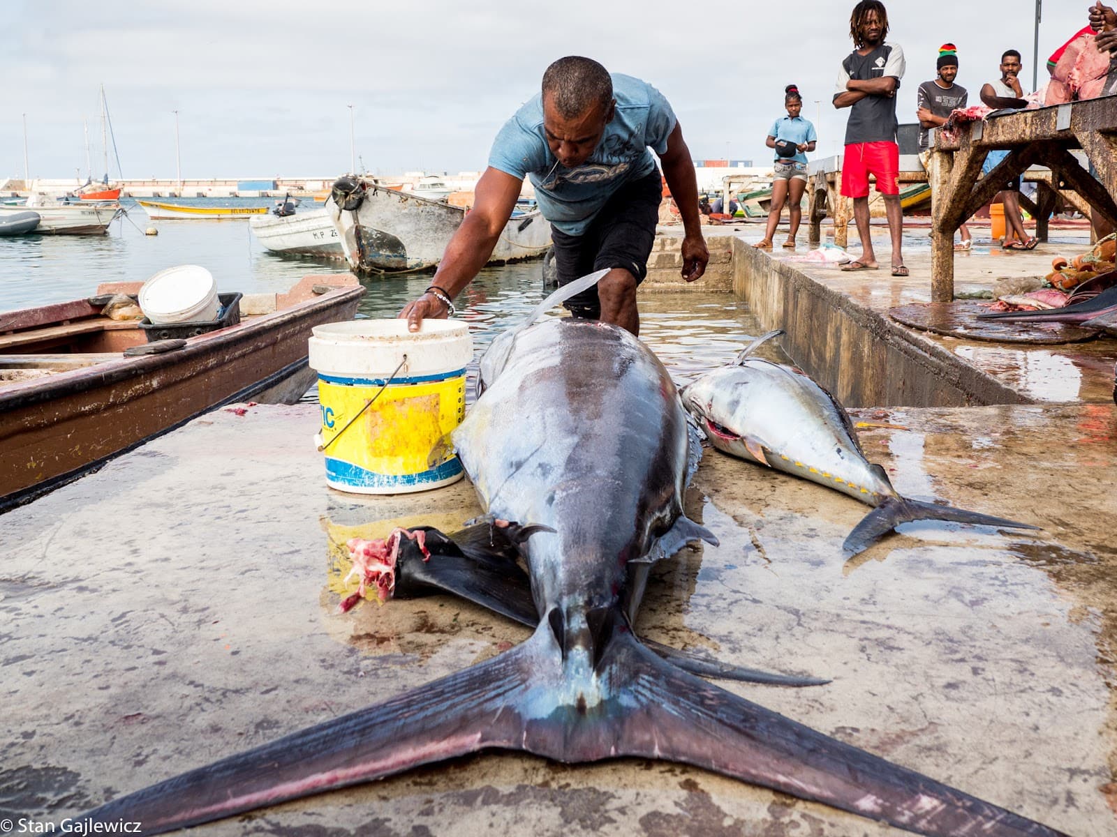 Port of Praia - Image 1