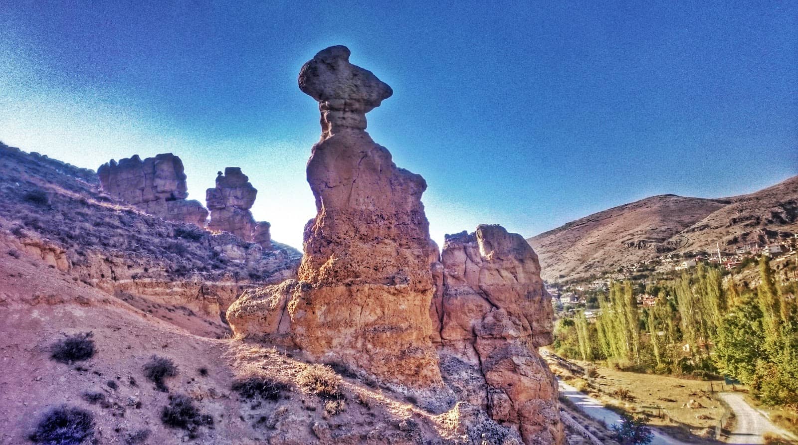 Greenery and Nature Trails