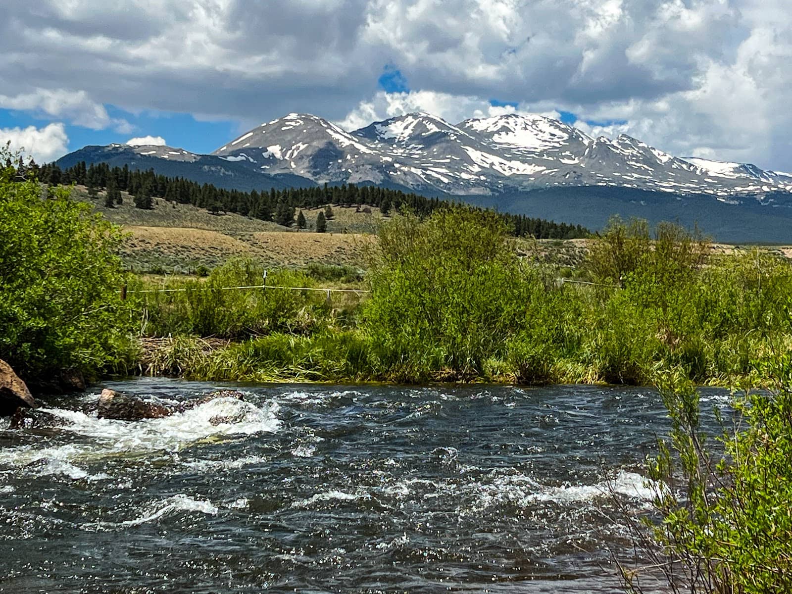 Whitewater Rafting Opportunities