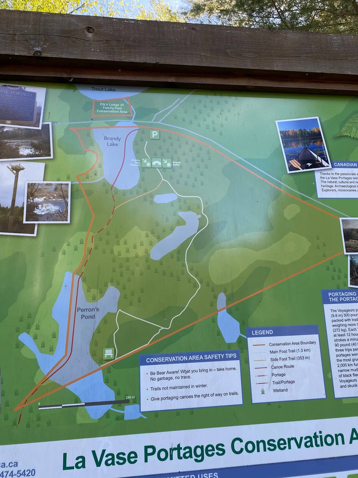 Birdwatching Opportunities