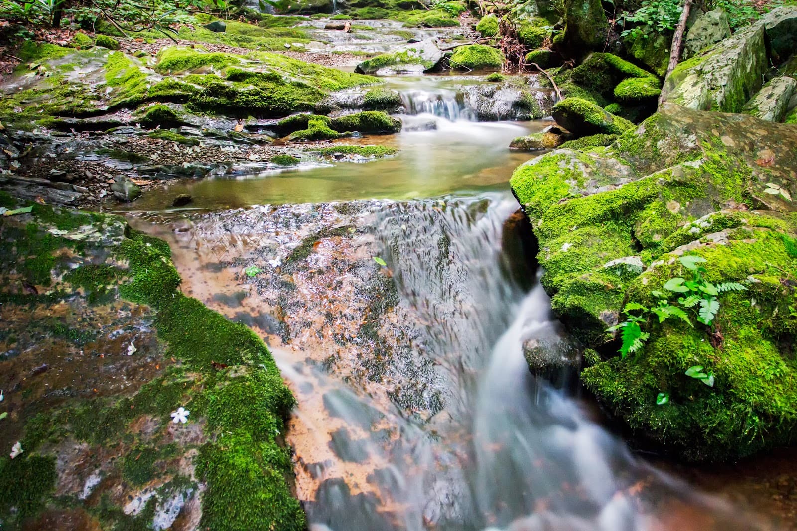 Pine Ridge Falls - Image 1