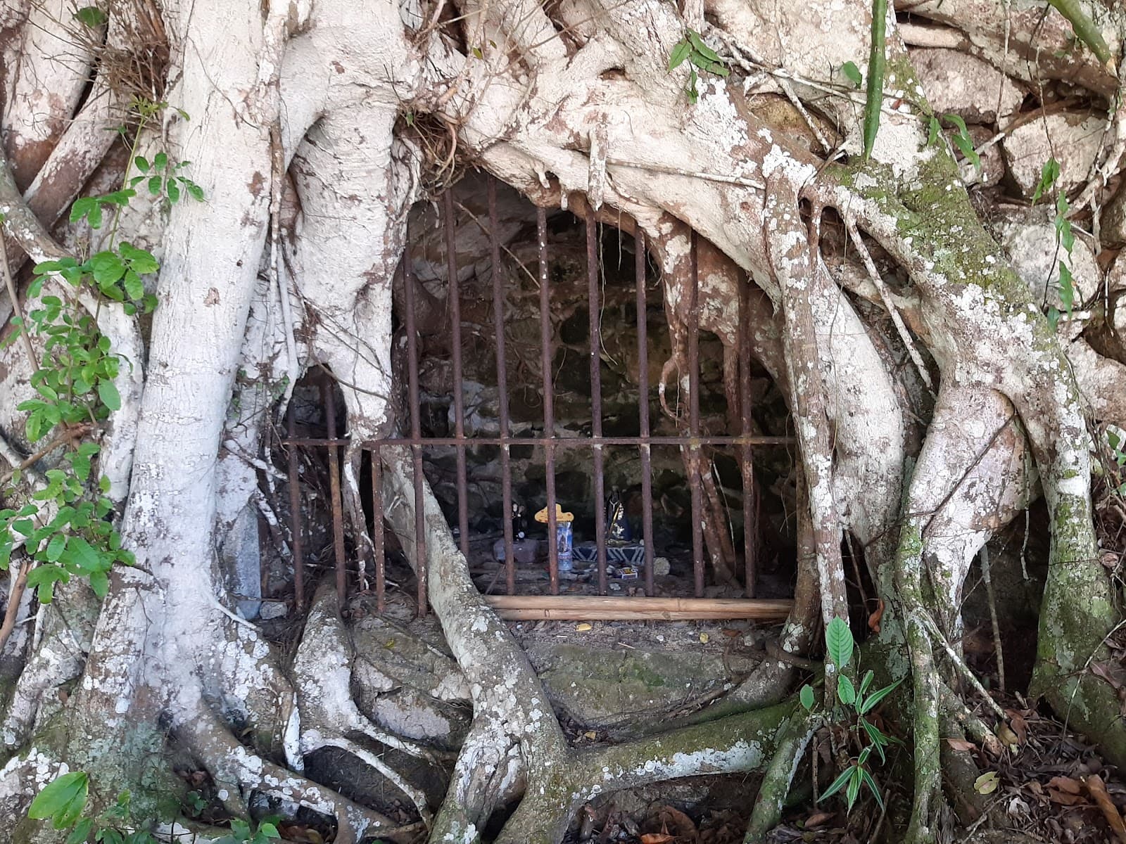 Lazareto Ruins - Image 1