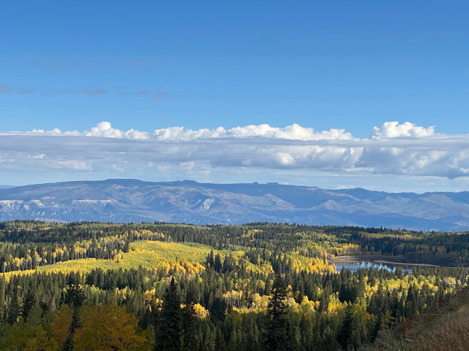 Grand Mesa Scenic Byway - Image 1