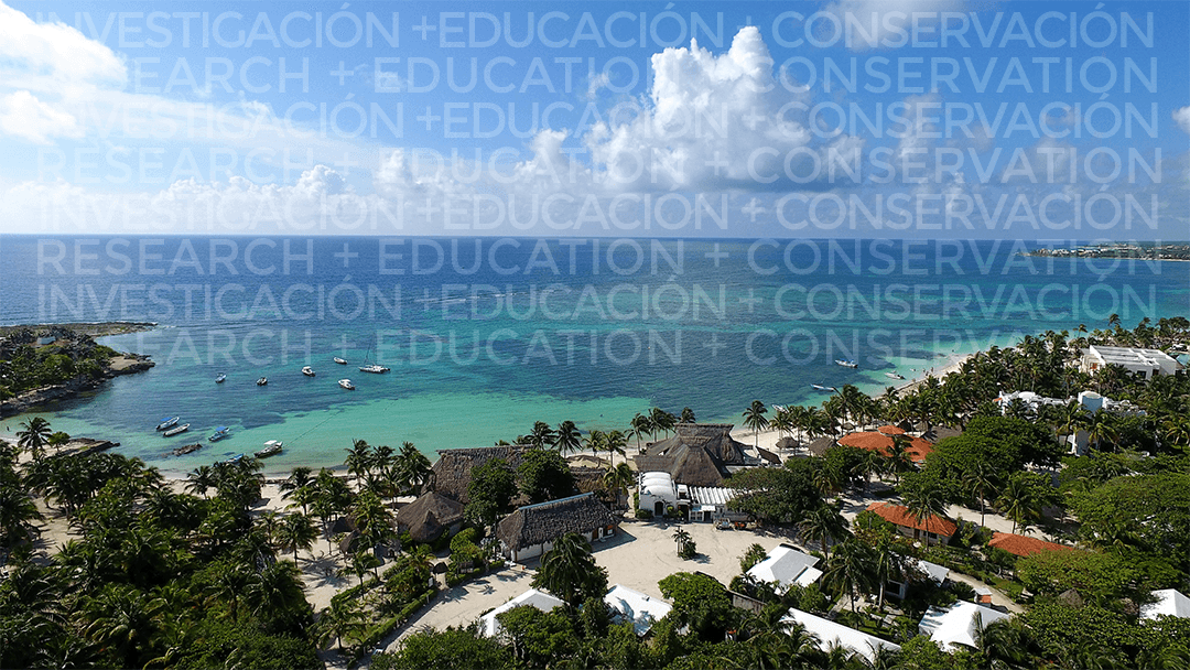 Centro Ecológico Akumal - Image 1