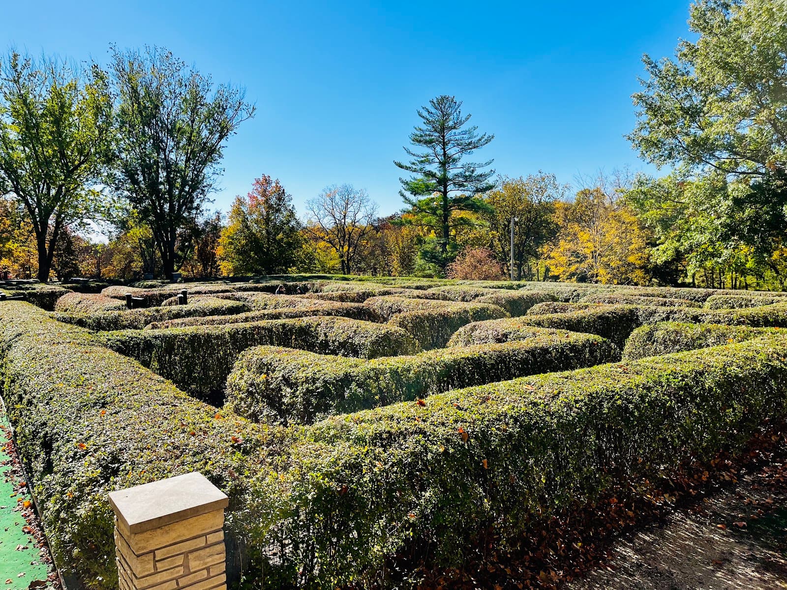 Hedge Maze, City Park - Image 1