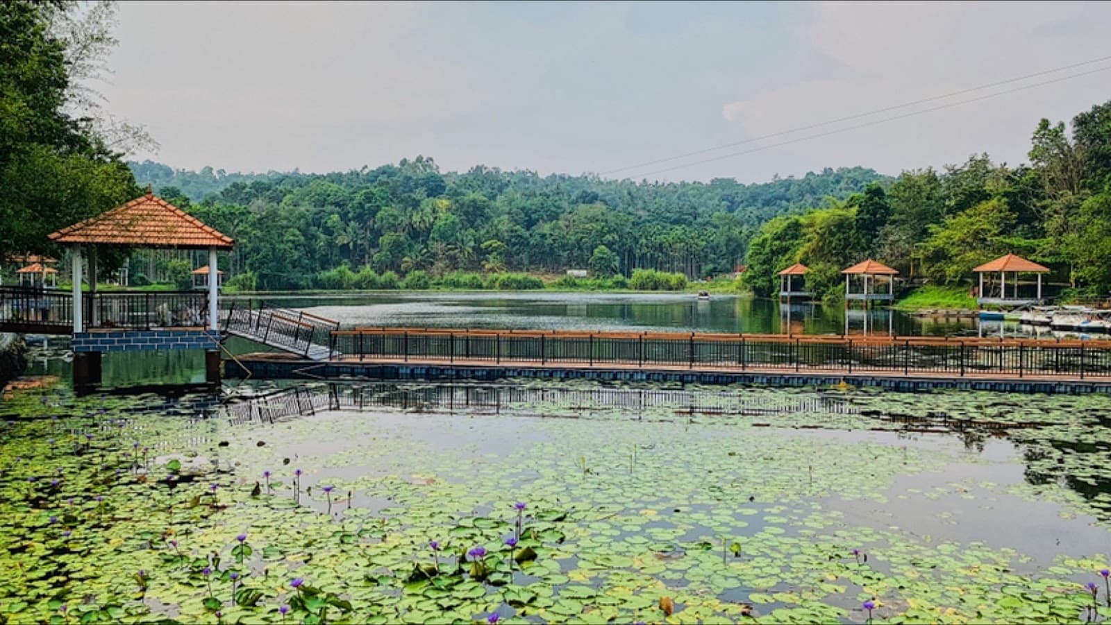 Karlad Lake Adventure Park - Image 1