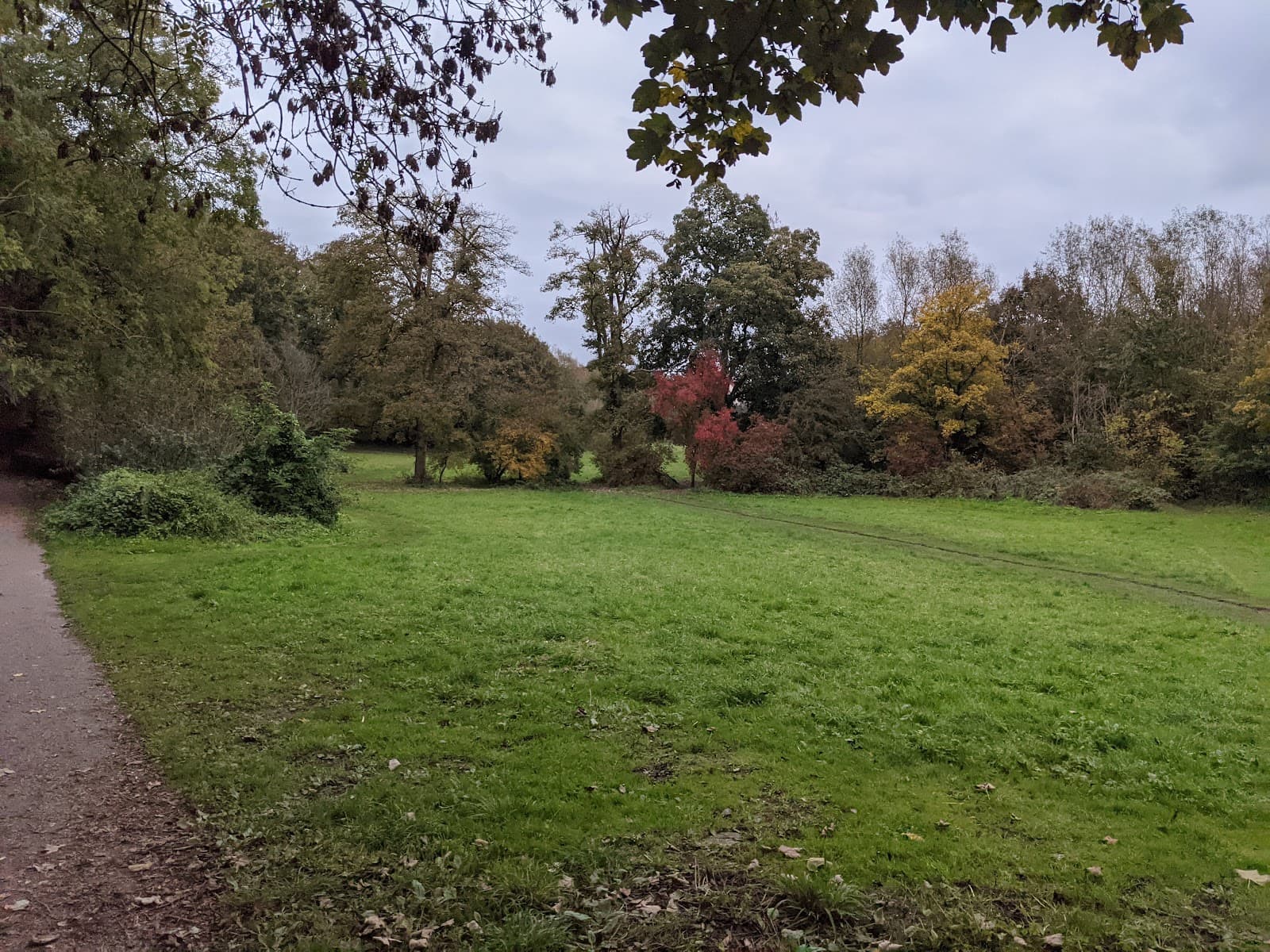 Rodden Meadow - Image 1