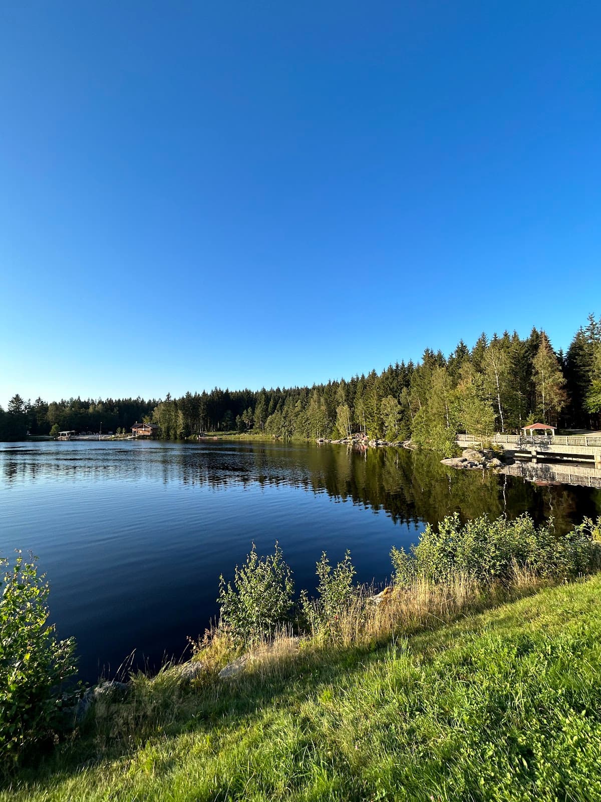 Fichtelsee Lake - Image 1